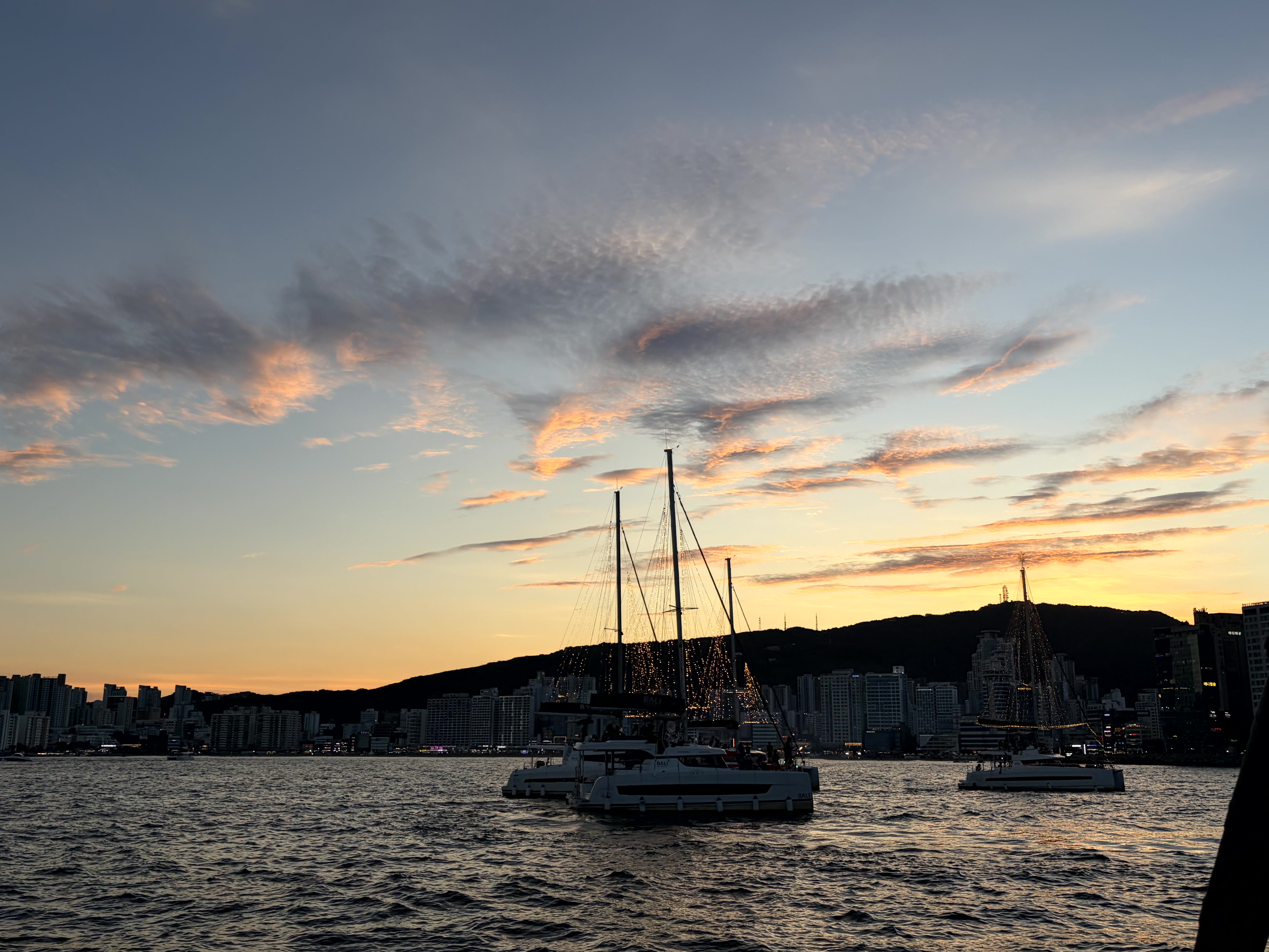 P20260727_193142243_338DCBFF-1304-41F8-8BF5-45CA3E9504A4.jpg 첨부 이미지