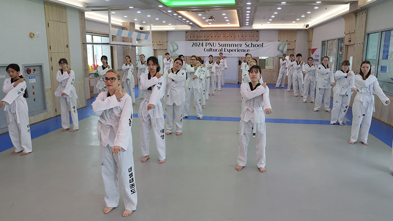 Taekwondo Class